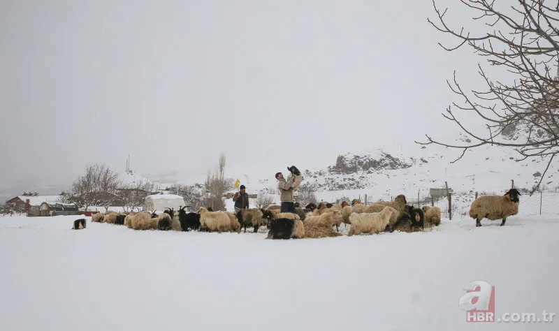 Hakkari'de kar yağışı şehri beyaza bürüdü! Onlarca köy yolu ulaşıma kapandı 15