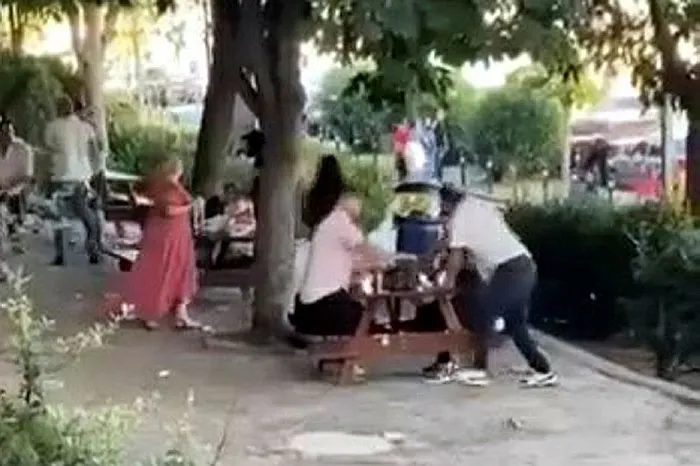 1718700221921.jpeg Piknikte sopalarla birbirlerine girdiler! O anlar kamerada - 1
