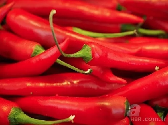 Kilo vermek isteyenler dikkat! Bu besinler metabolizmayı hızlandırıyor! İşte kilo verdiren yiyecekler 17