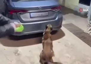 Yılbaşı öncesi narkotik operasyonu