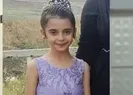Kıl cinayet düğümünü çözecek mi?