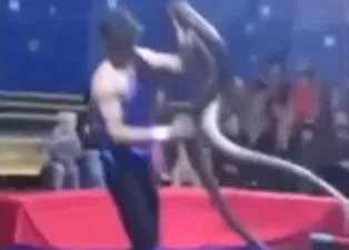 Dev piton adamı böyle boğdu! Dehşete düşüren olay...
