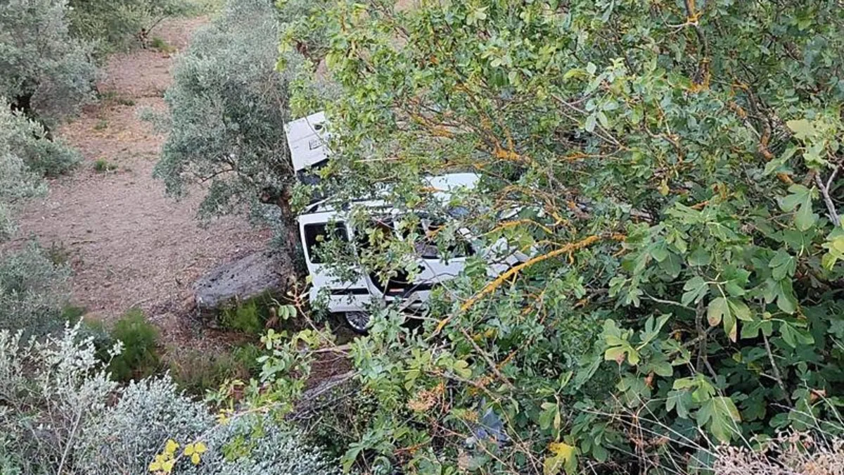 Bursa'da otomobil zeytin ağaçlarına çarptı! 1 ölü 3 yaralı