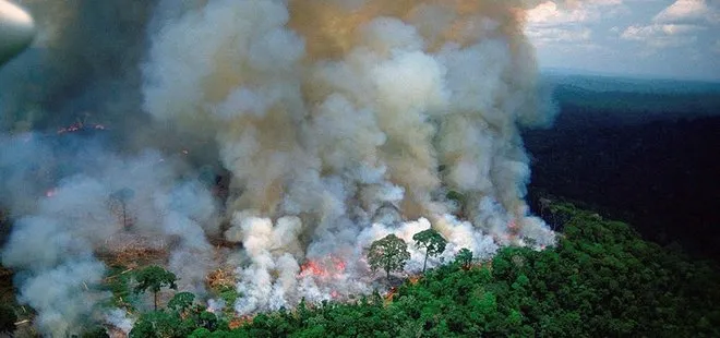Amazon ormanları nerede? Amazon yangını son durum nedir?