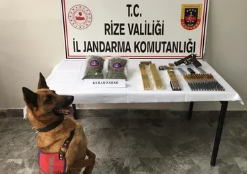 Rize’de uyuşturucu operasyonu