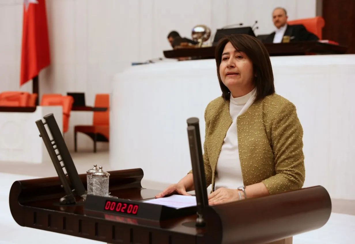 HDP'li Serpil Kemalbay Pekgözü'nden Meclis'te iktidara skandal tehdit: Sonunuz Saddam gibi olacak