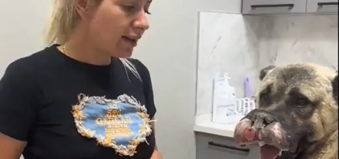 Köpekvelisi Buket Özgünlü yine para dilendi! Hapisten çıktı dolandırmaya bırakmadı! Botoks güzelinin hedefi 10.daire...