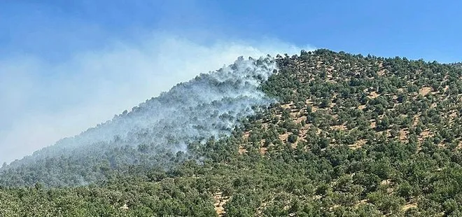 Diyarbakır'da örtü yangını!