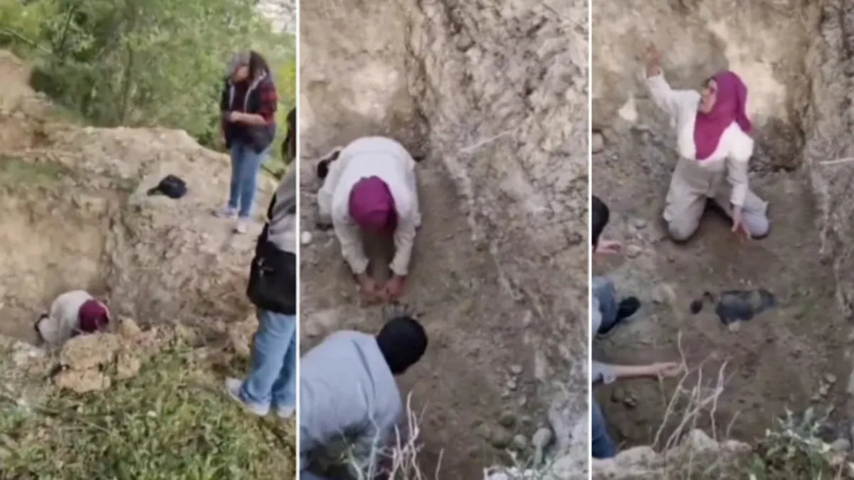 Bursa'da ölen köpekleri mezardan çıkarmaya çalıştılar