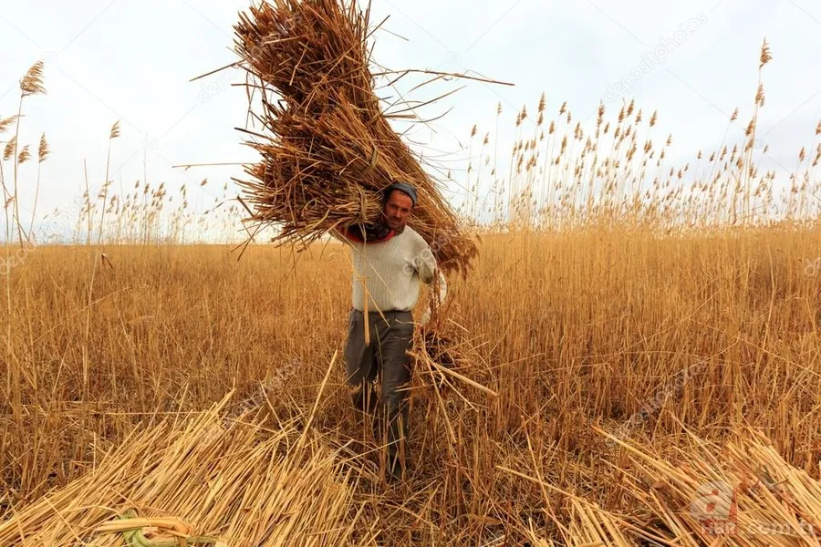 Mevsimlik işçiler kıdem tazminatı alabilir mi? Kıdem tazminatı nasıl hesaplanır? 13