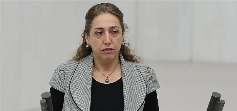 Son dakika: Polise yumruk atan DBP'li Salihe Aydeniz'in dokunulmazlığı kalktı