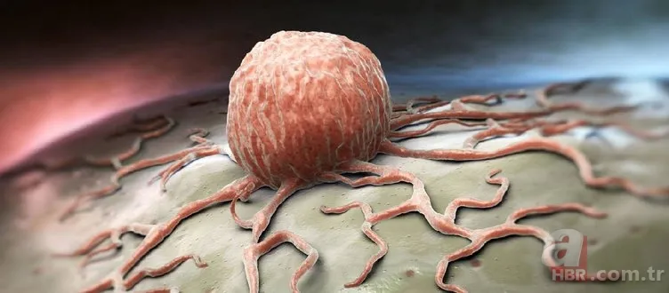 İşte kanseri tedavi eden besin! Mucizevi etkileri var 1