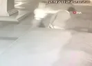 Sevgili dehşeti!