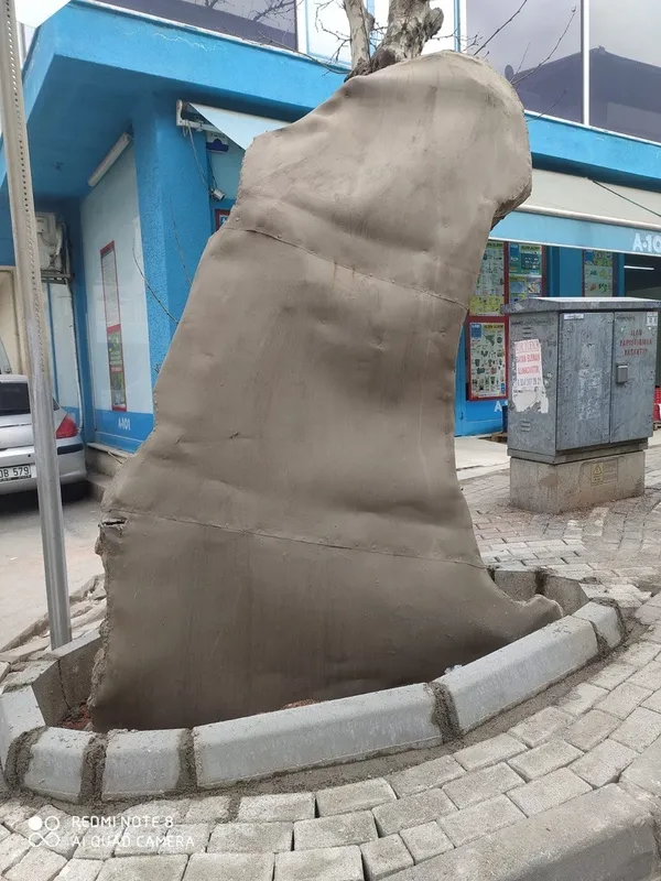 İBB ağaçları katlediyor! Bursa Büyükşehir Belediyesi 433 yıllık çınarların bakımını sürdürüyor - 5