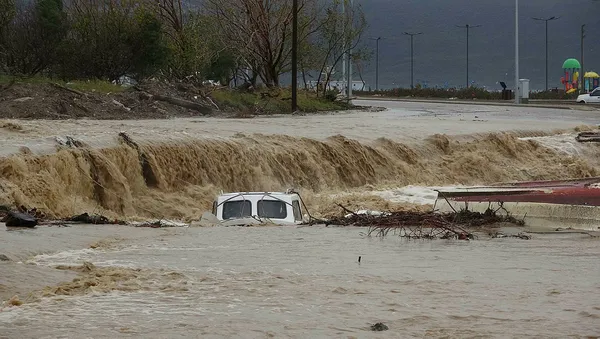 1702722045605.jpg Çanakkale'yi sağanak yağış vurdu! Evleri su bastı hayvanlar taşkına kapıldı... - 1