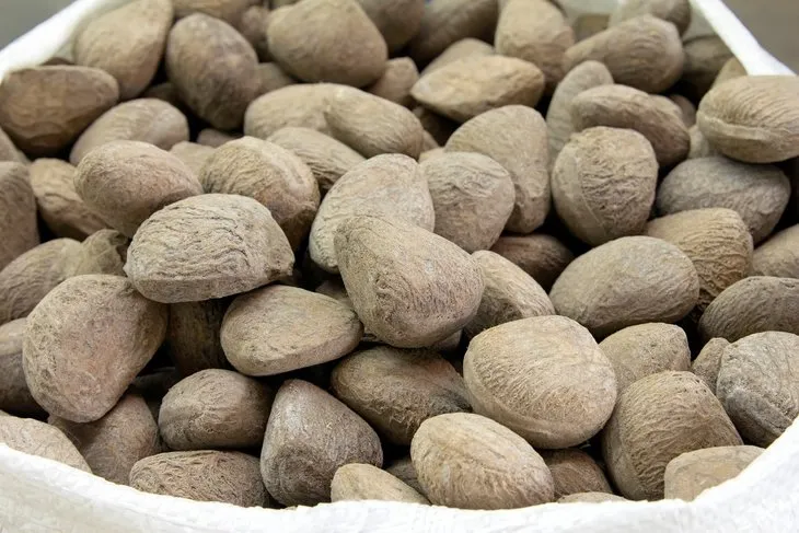 Dikkat! Bu patates ölüme neden oluyor