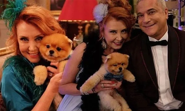 Dizide Oynayan Pomeranian Boo Cinsi Kopege Ayda 4 Bin Tl Veriliyor A Haber Son Dakika Magazin Haberleri
