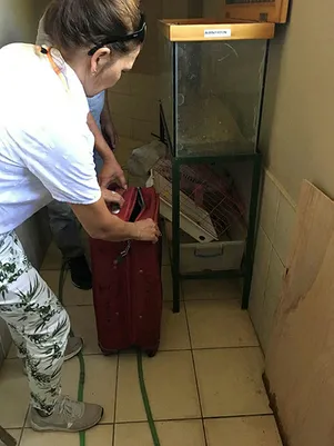 Antalya'da yolcunun valizinden boa yılanı çıktı - 1