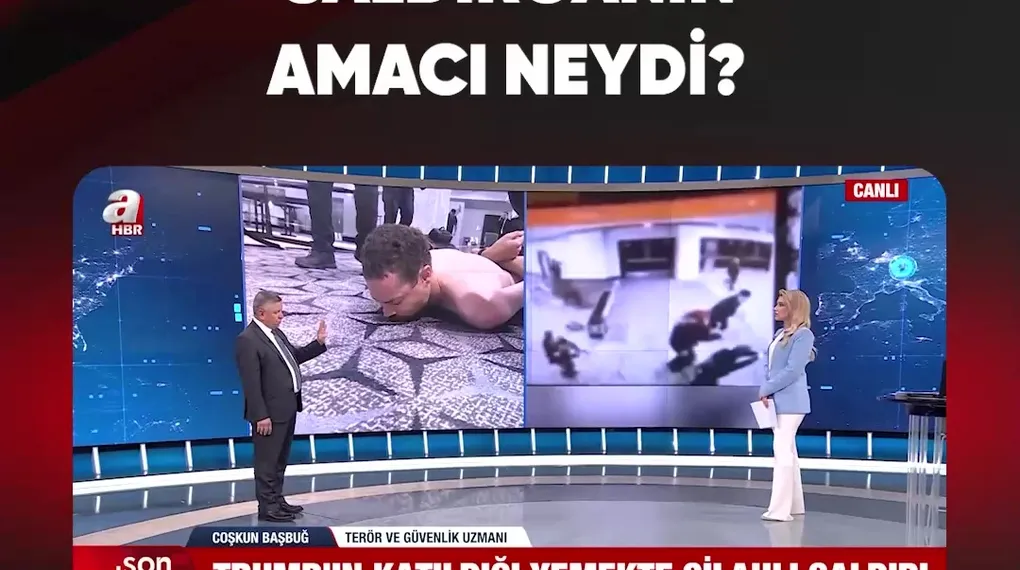 SALDIRGANIN AMACI NEYDİ?