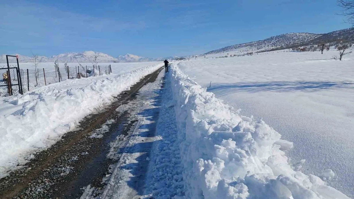 Kulp'ta taşımalı eğitime kar tatili, ilçe merkezinde okullar açık