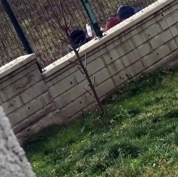1612098555114.jpg 3 çocuğun yürek sızlatan görüntüsü! Polis inceleme başlattı - 1