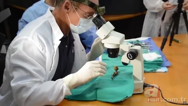 Gizemli iskeletin sırrı çözüldü! Uzaylıya mı ait? UFO teorileri üzerinde duruluyordu… Gerçek bambaşka çıktı 1