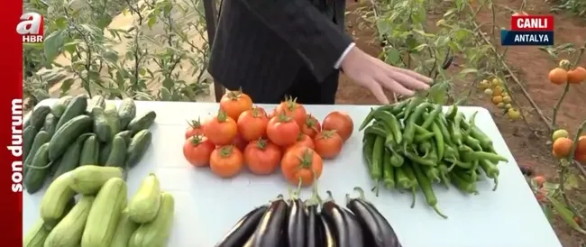 Tarladan sofraya fiyat farkı! Hale yapılan yolculukta fiyatlar nasıl değişti?