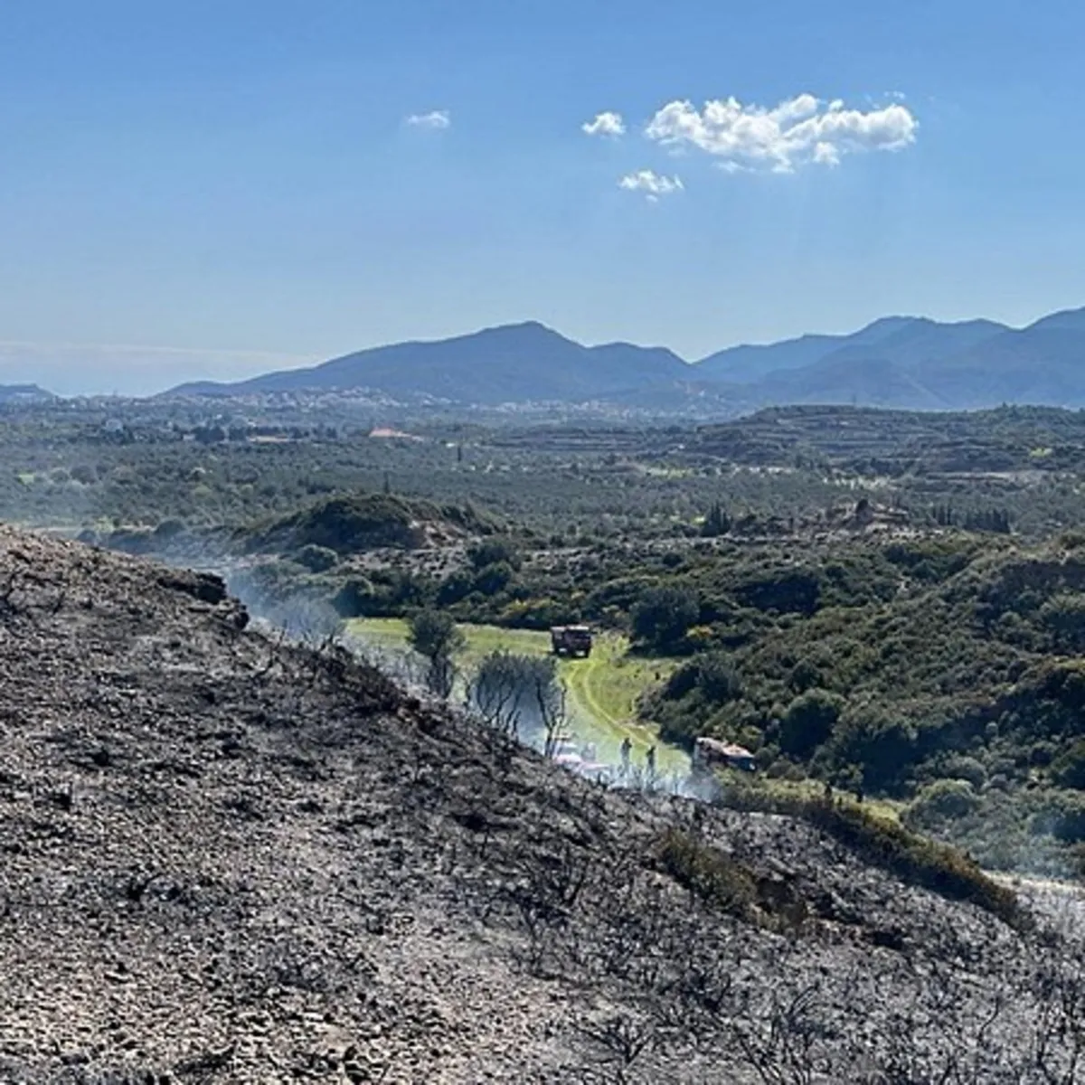 Muğla'da makilik alanda çıkan yangın söndürüldü