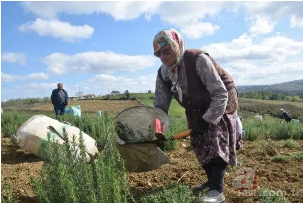 Bunları yapan köşeyi dönüyor! Yatırım bedeli az getirisi yüksek