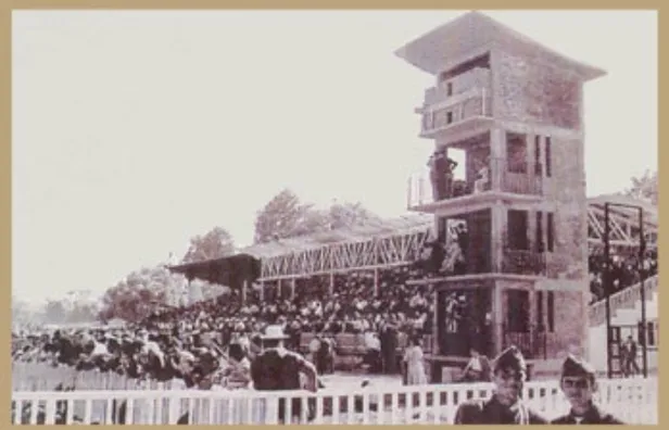 At yarışı sonuçları sorgulama 🏇 | Canlı TJK TV at yarışı sonuçları ve yarış programı | İstanbul, Bursa, İzmir, Kocaeli...