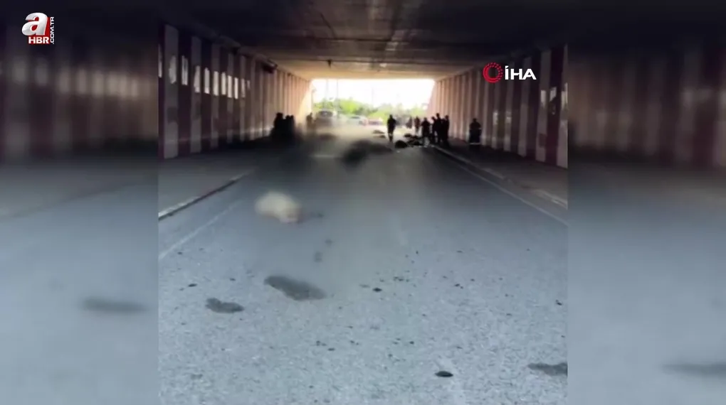 Otomobil sürüye daldı: 17 koyun telef oldu