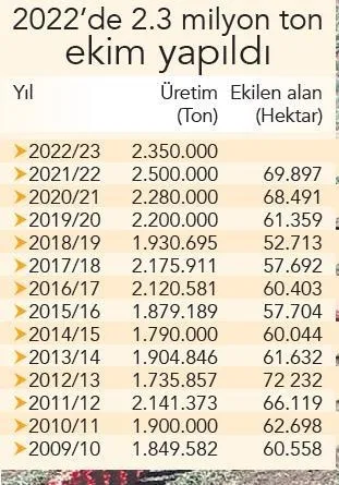 1680579558644.jpeg Soğan fiyatları hızla düşecek! - 9