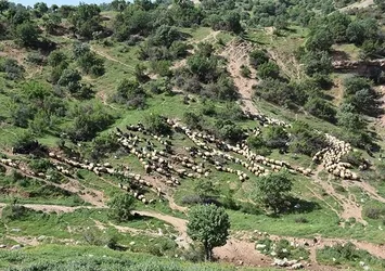 Şırnak'ta göçerler yola koyuldu!