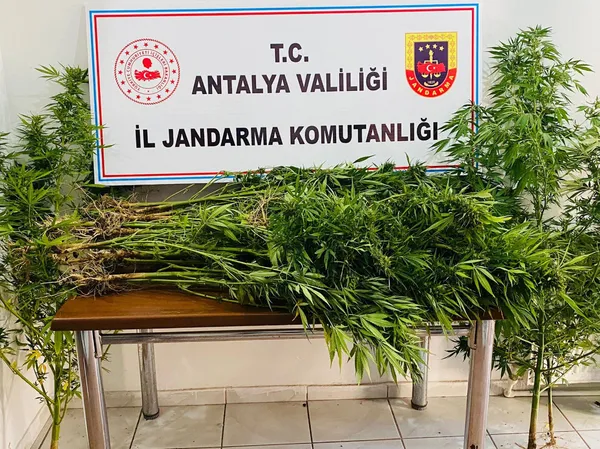 1661511451262.jpg 18 yıl önce vefat etmişlerdi! Kullanılmayan evin bahçesinden çıkanlar şoke etti - 1