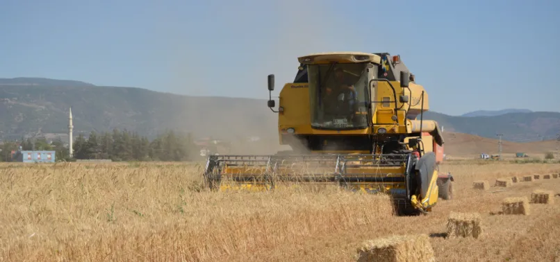 Son dakika: Hububat alım fiyatları güncellendi!