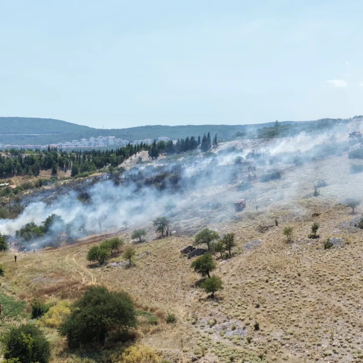 Muğla'da korkutan orman yangını!