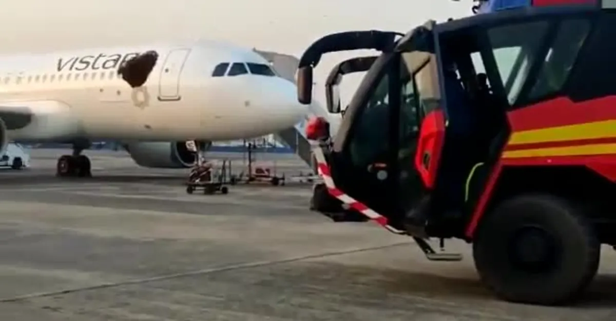 Uçakta davetsiz misafirler! İstila ettiler