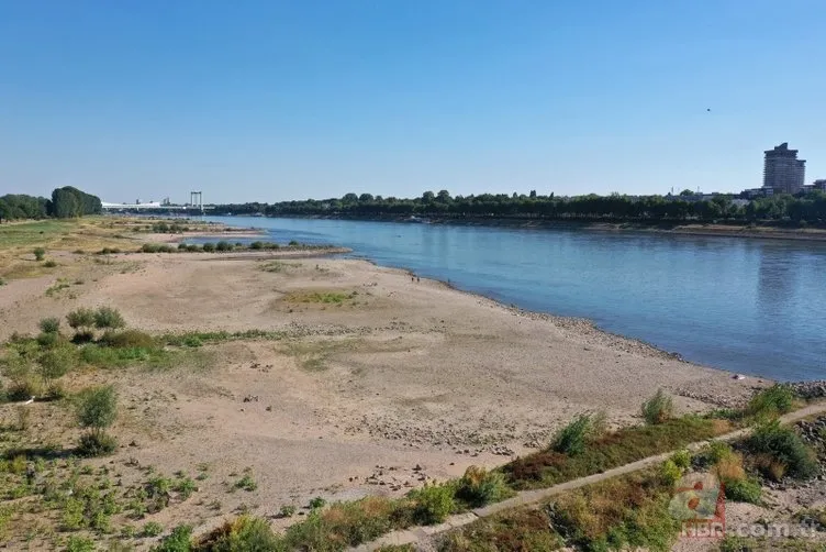 Avrupa'da 500 yılın kuraklığı! Dünya korkuyla izliyor 8