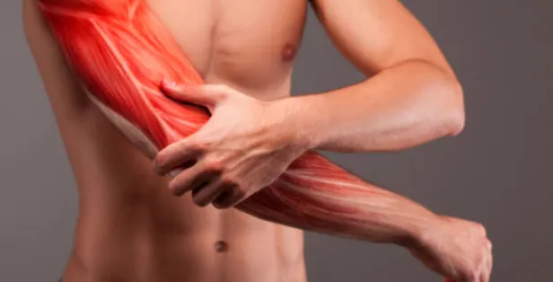 2. derece yırtık iyileşme süresi ne kadar, kaç gün sürer? 2. derece kas yırtılması kaç güne düzelir?