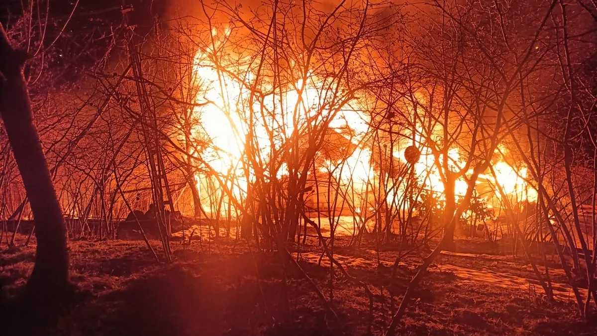 Ordu'da evi yanan adam ağaca asılı halde ölü bulundu