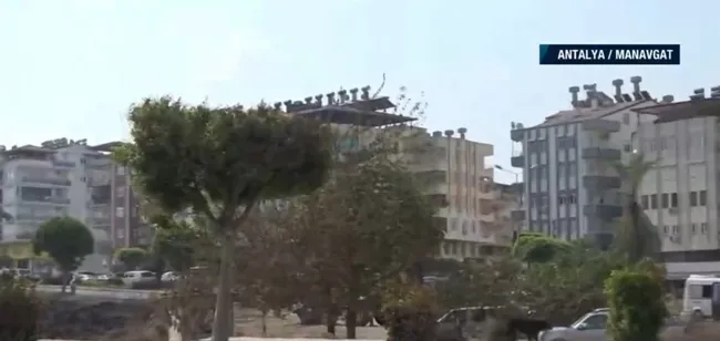 Türkiye’nin ciğerleri yandı! A Haber ekibi yangının çıktığı noktada