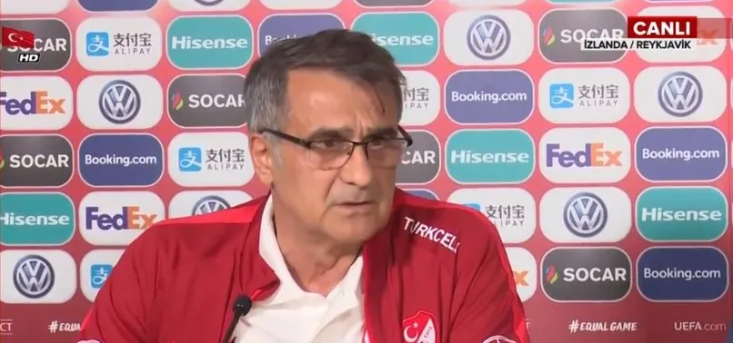 Şenol Güneş'ten İzlanda açıklaması: Biz büyük devletiz küçük işlerle uğraşmayız