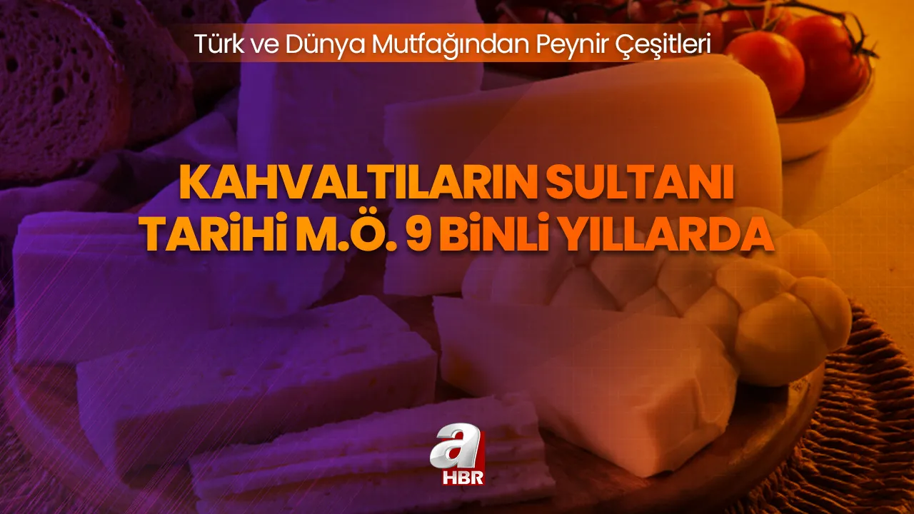 Türk ve Dünya Mutfağından Peynir Çeşitleri | M.Ö. 9 binli yıllardan beri peynirlerin isimleri ve özellikleri! Beyaz, ezine, Konya küflü, Tofu, Parmesan...