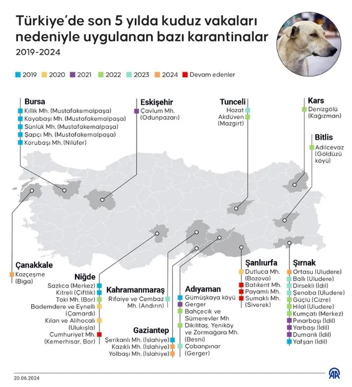 Kuduz tehlikesine dikkat! Şanlıurfa’da 1 mahalle daha karantinada