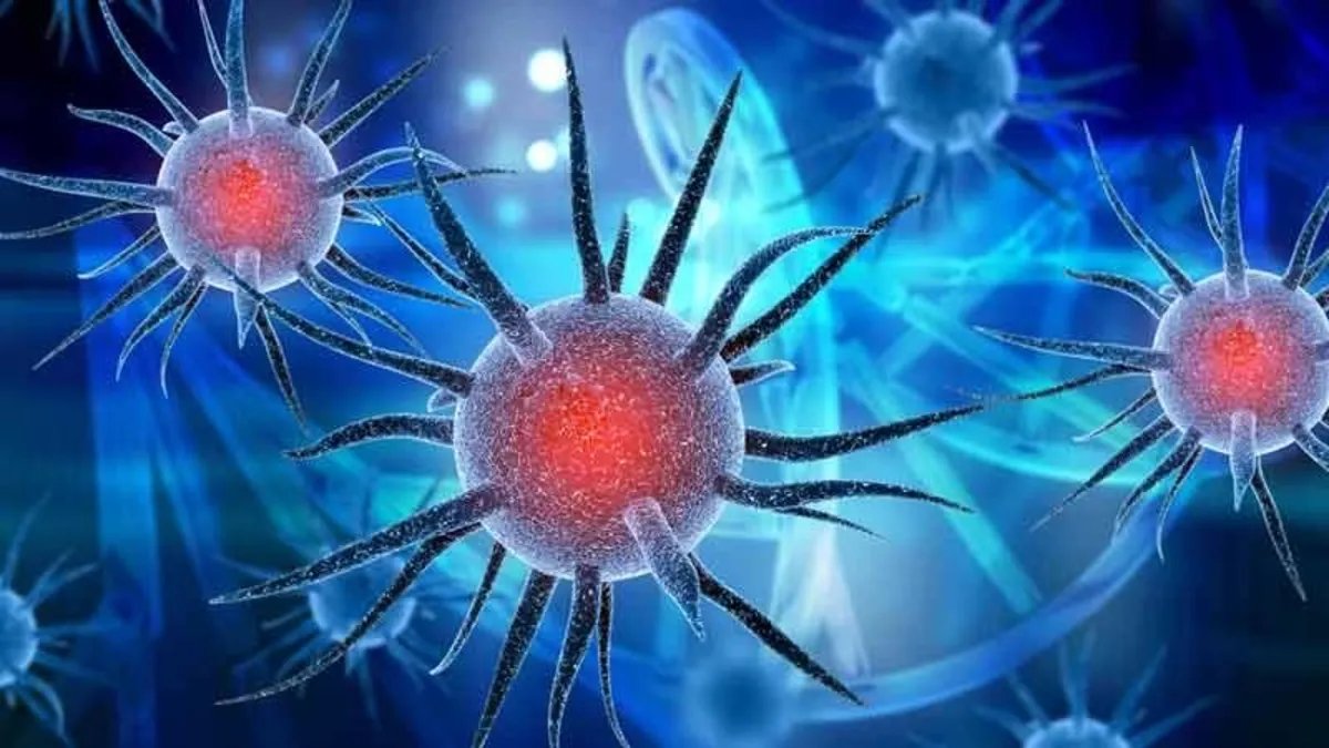 Harita çıkarıldı! İşte Türkiye’nin enfeksiyon hastalıkları...