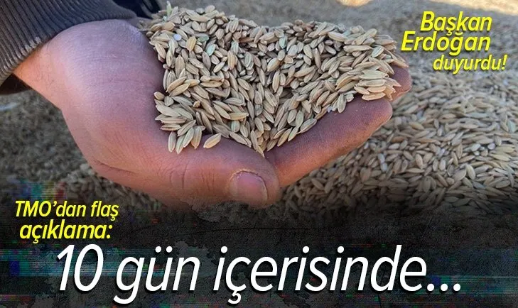 Başkan Erdoğan duyurmuştu! TMO'dan flaş açıklama: 10 gün içerisinde hesaplara yatacak