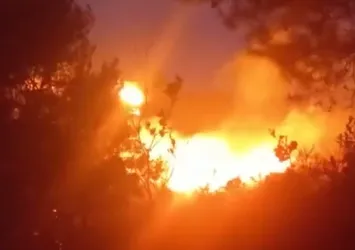 Muğla Bodrum'da orman yangını