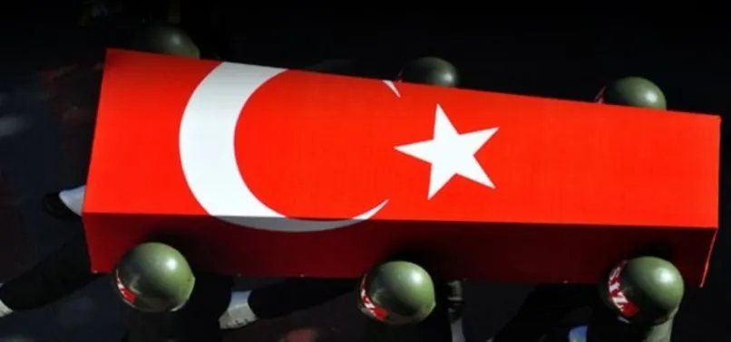 MSB: Hakkari'de bir asker şehit oldu