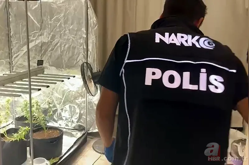 Yatak odasını seraya çevirdi! İfadesi pes dedirtti 1