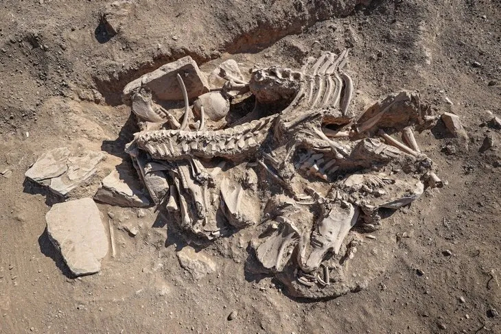 Van’da eşine az rastlanır olay! Arkeologlardan heyecan veren keşif